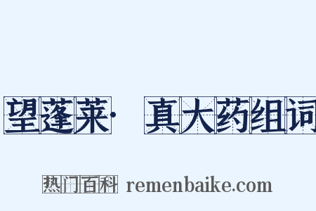 望蓬莱·真大药组词是什么意思的图片